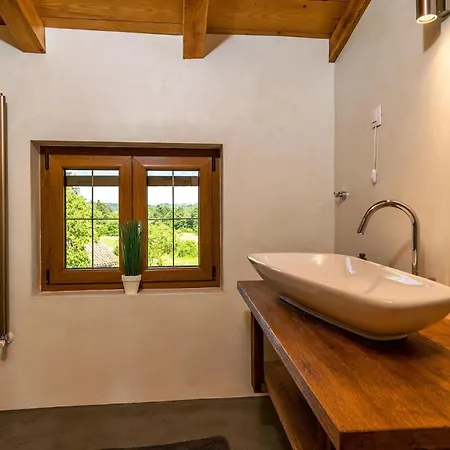 Sagri For 7 Persons In Istria With 24 M2 Heated Pool & Jacuzzi - Pet Friendly Villa Zagrici